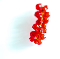 A bunch of red currants on a white background