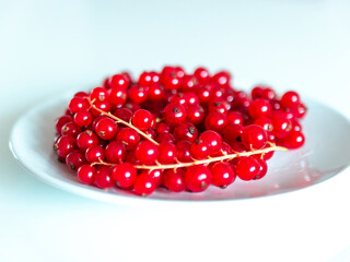A bunch of red currants on a white background