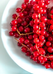 A bunch of red currants on a white background