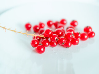 A bunch of red currants on a white background