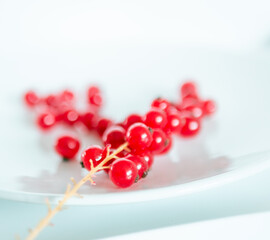 A bunch of red currants on a white background