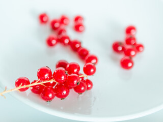 A bunch of red currants on a white background