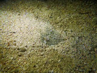 Scuba Diving and Underwater Photography Malta - Wrecks Reefs Marine Life Caverns Caves History