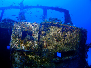 Scuba Diving and Underwater Photography Malta - Wrecks Reefs Marine Life Caverns Caves History