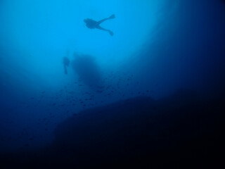 Fototapeta na wymiar Scuba Diving and Underwater Photography Malta - Wrecks Reefs Marine Life Caverns Caves History