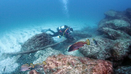Scuba Diving and Underwater Photography Malta - Wrecks Reefs Marine Life Caverns Caves History