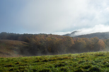 Cloudy autumn morning