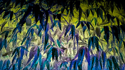 blue and green grass