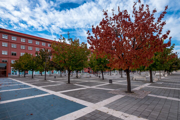Fototapeta premium Milano Bicocca