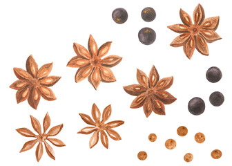 Winter spices decorative watercolor set, pepper and badyan