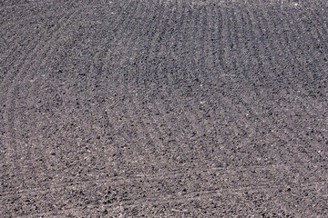 Arable land in a village field.