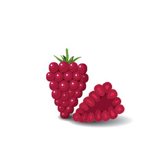 Raspberry cartoon fruit. Vegan organic eco product. vector illustration