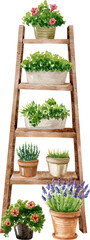 Wooden decorative ladder with flower and plants in clay pots and crates. Watercolor garden concept illustration. Hand drawn clipart.