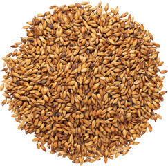 Caramel malts for brewing