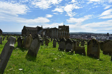 row of gravestone  ,tomestone,headstone at graveyard  church background with church of st mary  surround with green meadow and white flower in summer at Whitby UK 