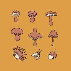 mushrooms in the forest mushrooms,champignon,porcini mushroom,chanterelle,different types of mushrooms,forest mushrooms,hedgehog,acorns,leaves,spikelets,botany,plants,fruits