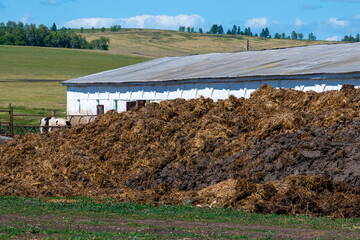 A pile of manure on the farm.