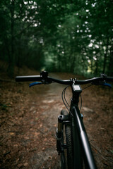 Fototapeta na wymiar First-person view cycling in the forest. Close-up of a mountain bike handlebar. Summertime outdoor leisure sport activity concept.