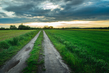 Long dirt road through fields and evening clouds on the sky