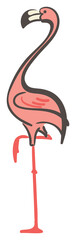 Flamingo hand drawn illustration