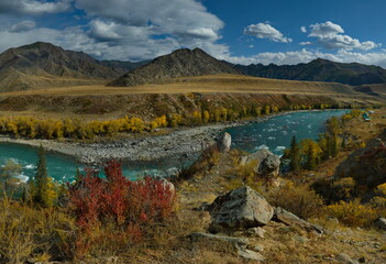 Russia. South of Western Siberia, the Altai Mountains. Picturesque high-altitude view in autumn colors of the Katun River near the village of Maly Yaloman.