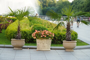 Moscow Gorky Park. Moscow Russia.