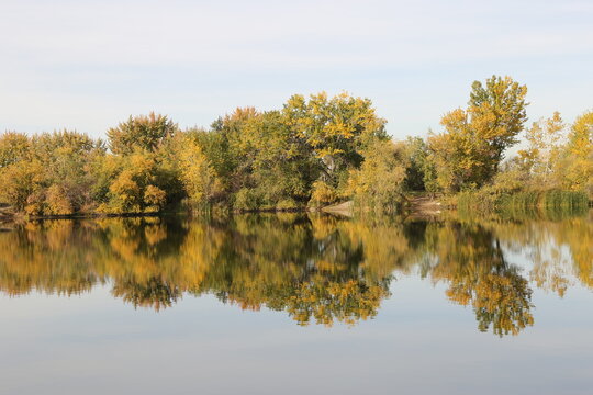 Fall Colors