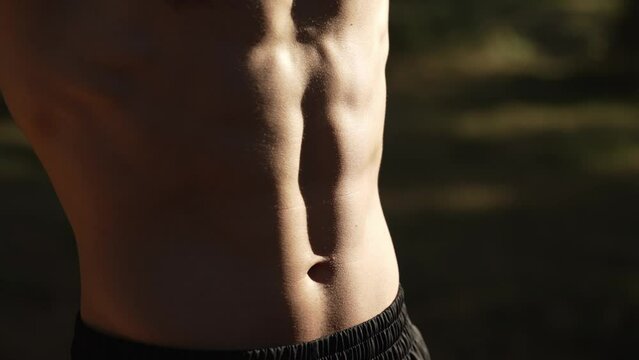 Perfect abs on a man's stomach