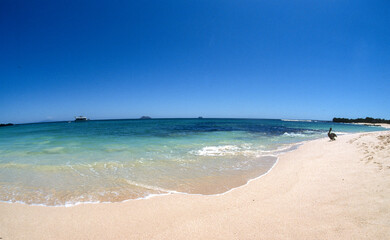 Plage de Bachas, Ile de Santa Fe, Archipel des Galapagos, Equateur