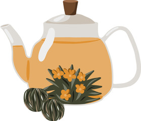 Vector flower tea in a transparent teapot