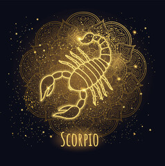 Colorful zodiac sign scorpio vector lineart. - 543696210