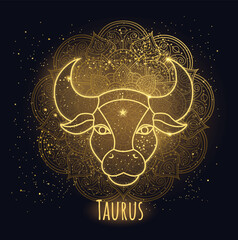 Colorful zodiac sign taurus vector lineart. - 543696215
