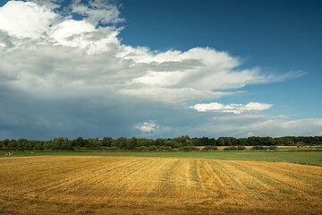 Fototapeta premium Stubble field and forest on the horizon, stormy clouds on the sky
