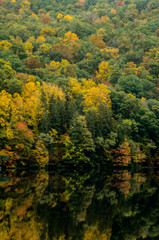 Fototapeta premium Reflection of Fall Leaves in Calm Lake