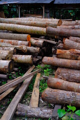 Abstract Defocused Blurred Background pile of felled wood in the Pangandaran area - Indonesia. Not Focus