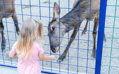 Little girl feeding a deer from her hands