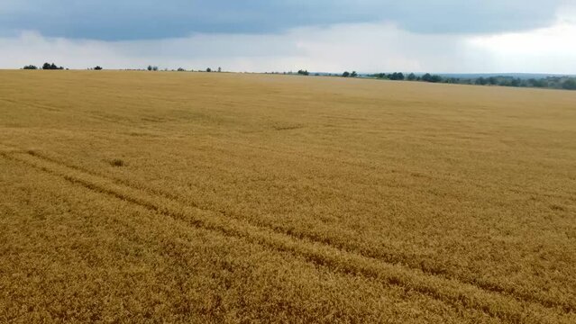 Widok z drona na pola 