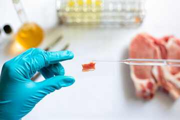 Scientists test for harmful substances contaminated in meat specimens on microscope slides by drop...