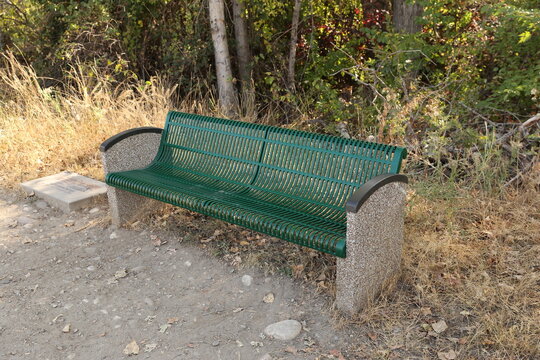 Bench along trail