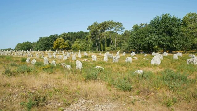 Panoramic view of the famous rows of menhirs and megalithes in the countryside of Carnac, Brittany, France. Meadow in the foreground. Green trees and blue sky on the background.