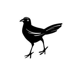 Black Bird's silhouette on white background. Blackbird in hand drawn sketch style. Design element. Vector illustration. 