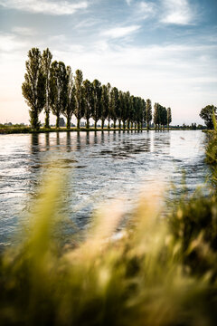 A row of trees sitting next to a canal in the italian countryside