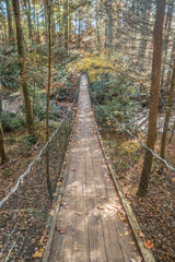 Suspension bridge across a creek