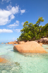 Anse Lazio