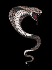 Cobra snake hand drawn illustration. Tattoo vintage print. Hand drawn print. Tattoo design.