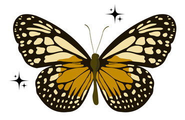 yellow and orange butterfly isolated on white with sparkles and stars