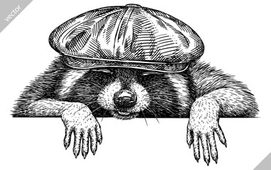 Vintage engrave isolated dressed fashion raccoon set illustration costume cut ink sketch. Wild pet background line glasses hipster hat racoon vector art © Turaev