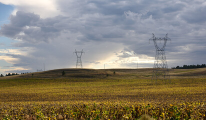 Long row of electricity pylons and wires passing through a meadow in South Dakota, USA