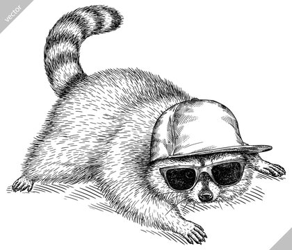 Vintage engrave isolated dressed fashion raccoon set illustration costume cut ink sketch. Wild pet background line glasses hipster hat racoon vector art