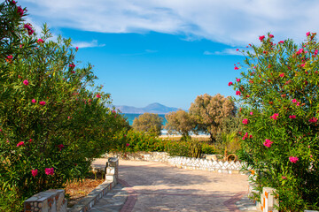 Sea side opening with flowers in Kos, Greece